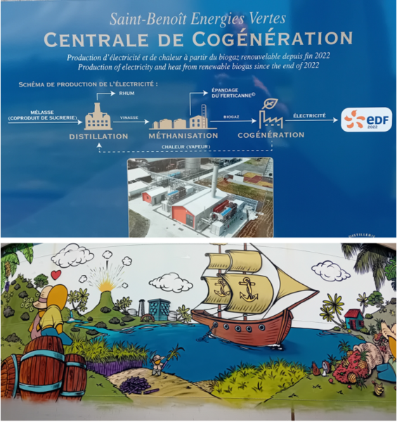 Synoptic view of the DRM cogeneration plant (© P.Rousset, Cirad)