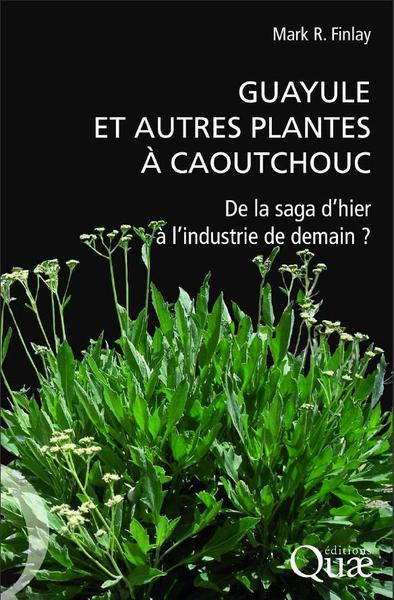 Guayule et autres plantes à caoutchouc © QUAE, M. Seguier-Guis