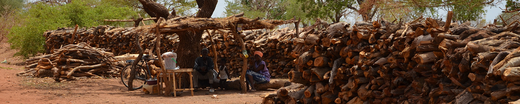 Selling firewood in Burkina Faso (T.Ferre)