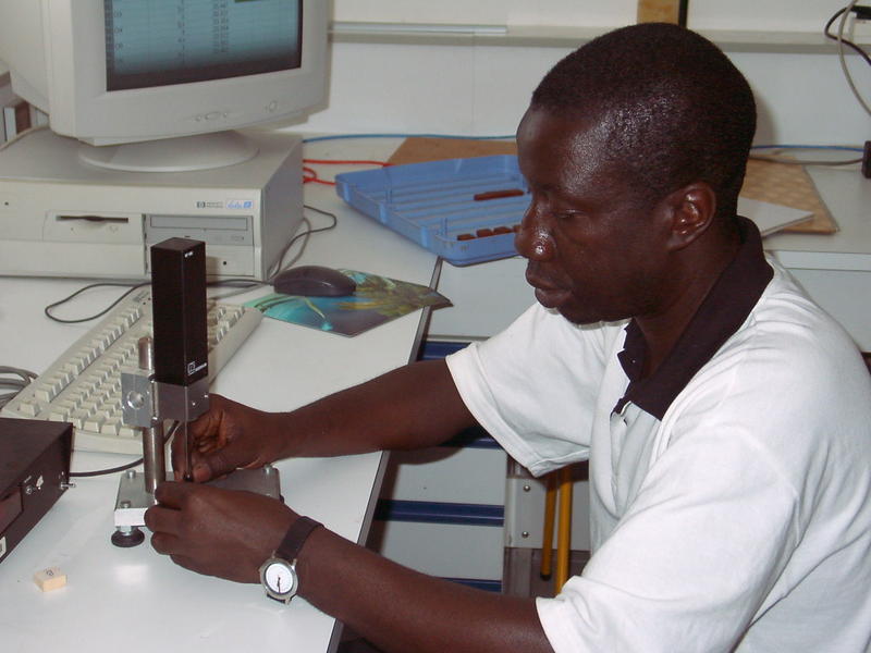 Massamba Tiam processing a withdrawal test on a wood sample (© D. Guibal)