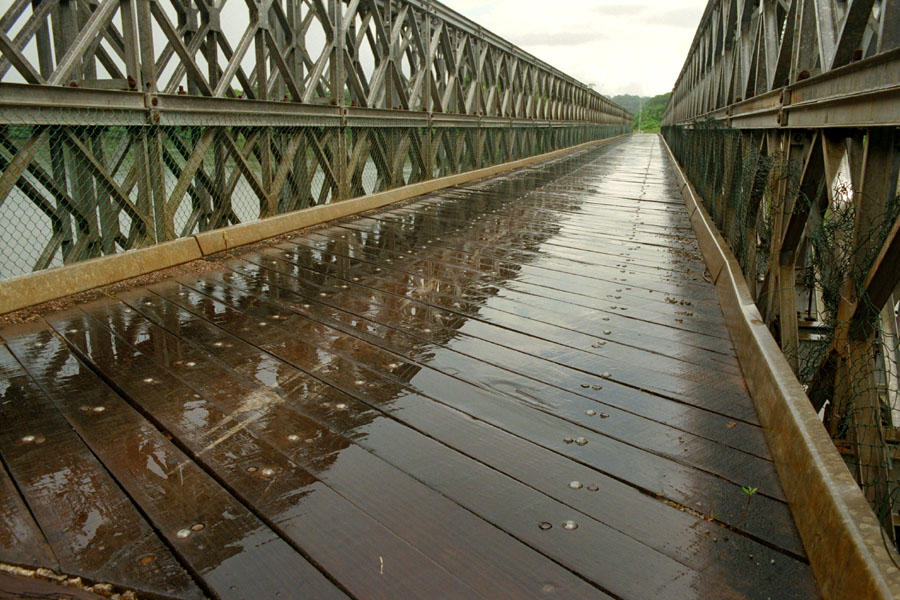 Amarante - Platelage pont sur la rivière Conté en Guyane. © Cirad, M. Vernay