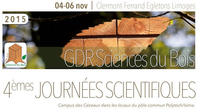 Logo GDR Sciences du Bois 2015