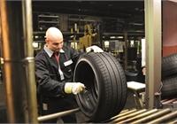 Apollo Vredestein fabrique le premier pneu à partir de caoutchouc naturel produit en Europe.