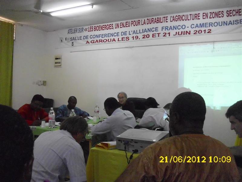Table ronde durant un atelier bioénergies Cameroun (© Cirad)