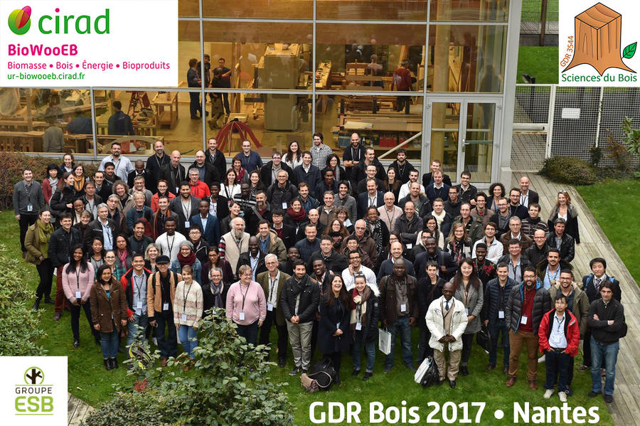 Participants aux 6ème journées scientifiques du GDR Bois, Nantes 2017 (© GDR Bois)