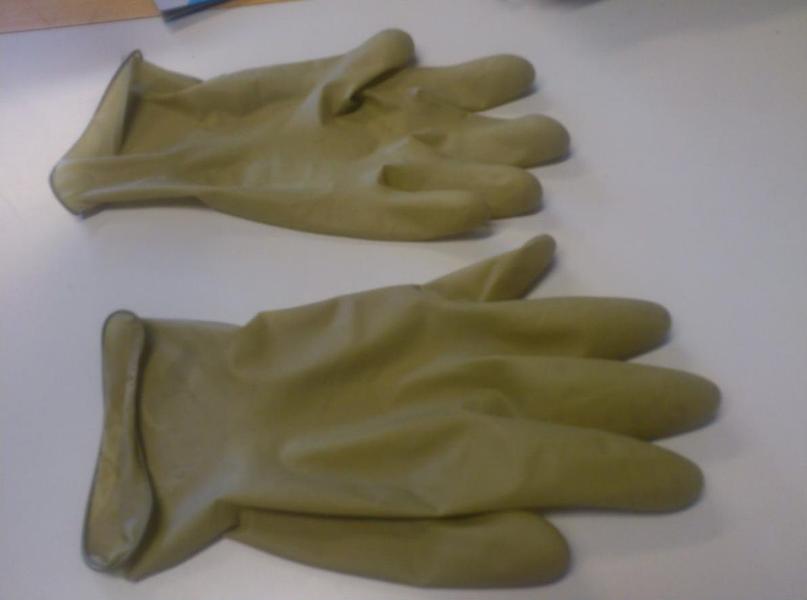 Prototype de gants en latex de guayule produit par le CTTM et le CIRAD avec un latex de guayule préparé à Montpellier en mai-juin 2012 © Cirad, S. Palu, D. Pioch, A. Amor.JPG
