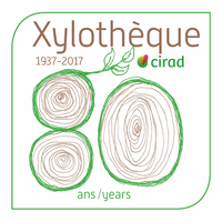 Logo 80 ans de la xylothèque