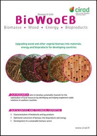 BioWooEB brochure